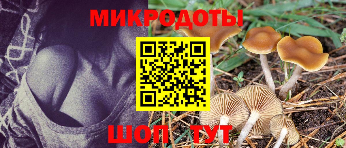 Псилоцибиновые грибы Psilocybine cubensis  Вход с VPN  Петровск 